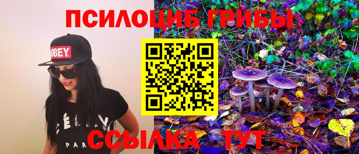 Псилоцибиновые грибы мицелий Нижний Тагил