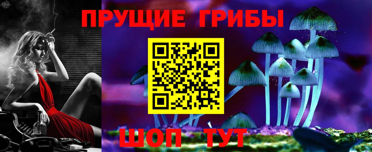 Галлюциногенные грибы Psilocybine cubensis  Вход с VPN  Нижний Тагил  Галлюциногенные грибы Cubensis 